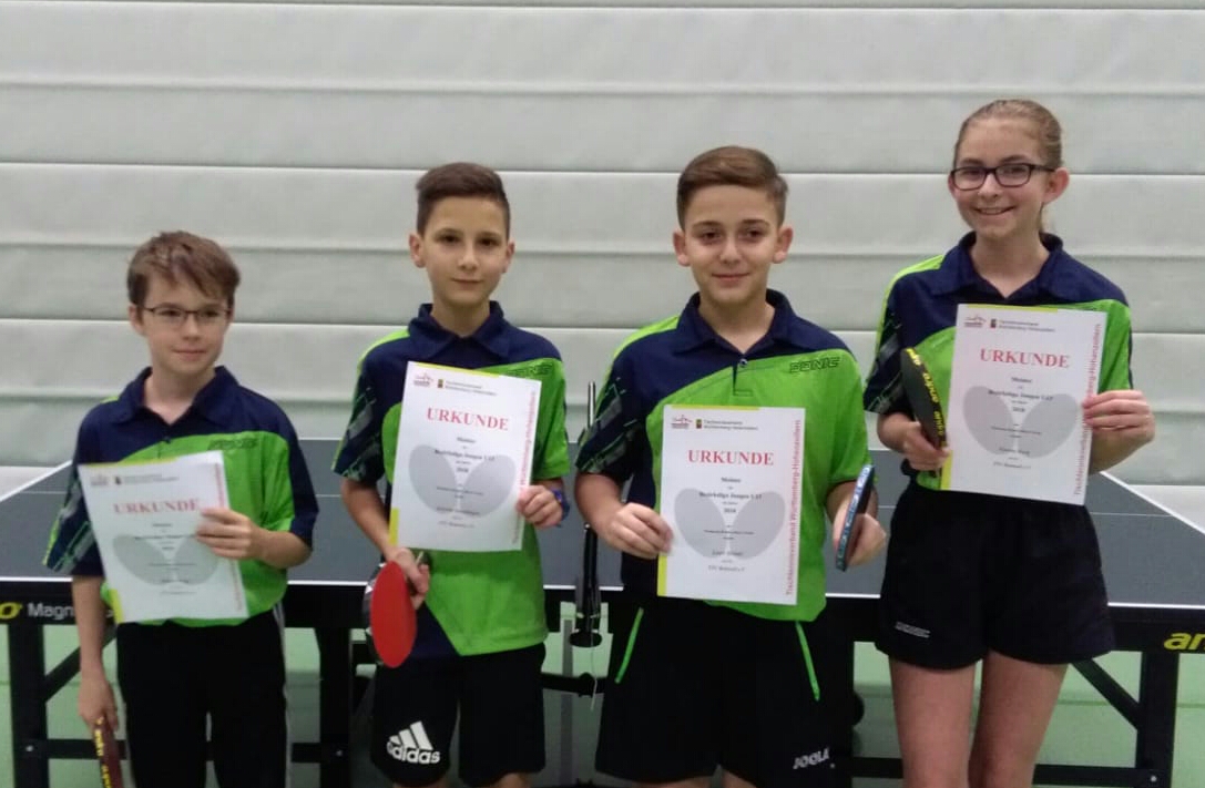 IMG-20181127-WA0024-2[1]